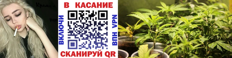 Названия наркотиков Железногорск БУТИРАТ  Канабис  А ПВП  Мефедрон  Гашиш 