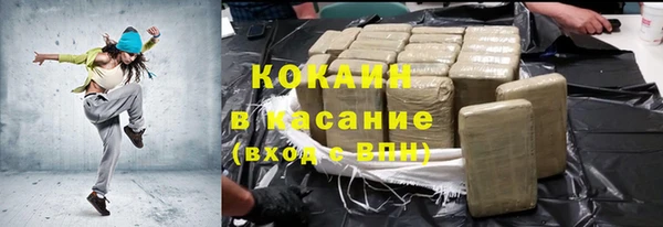 ECSTASY Алзамай