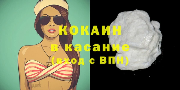 твердый Алексеевка