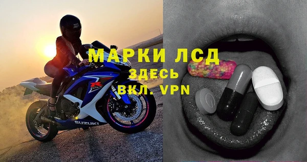 ECSTASY Алзамай