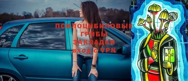 ECSTASY Алзамай