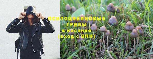 твердый Алексеевка