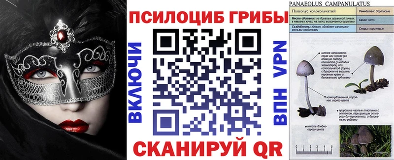 Псилоцибиновые грибы ЛСД  MEGA как зайти  Железногорск  закладка 